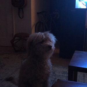 Meet your Posher, Meg